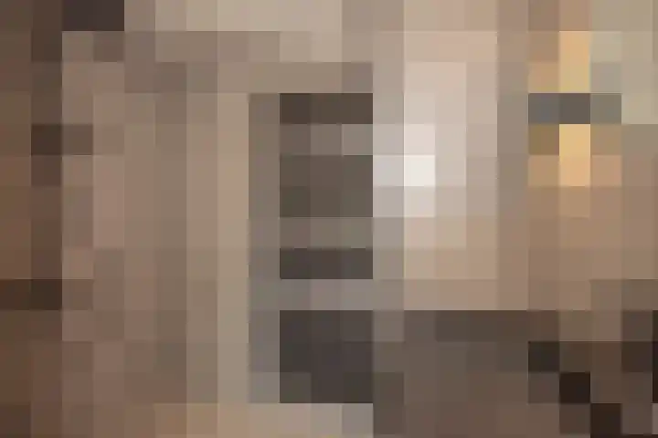 Hoenderstraat 6 Helvoirt thumbnail 20