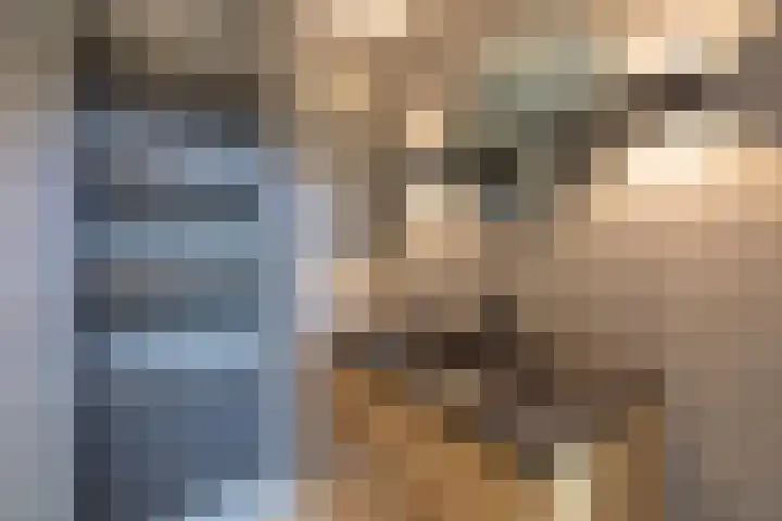 Hoenderstraat 6 Helvoirt thumbnail 21