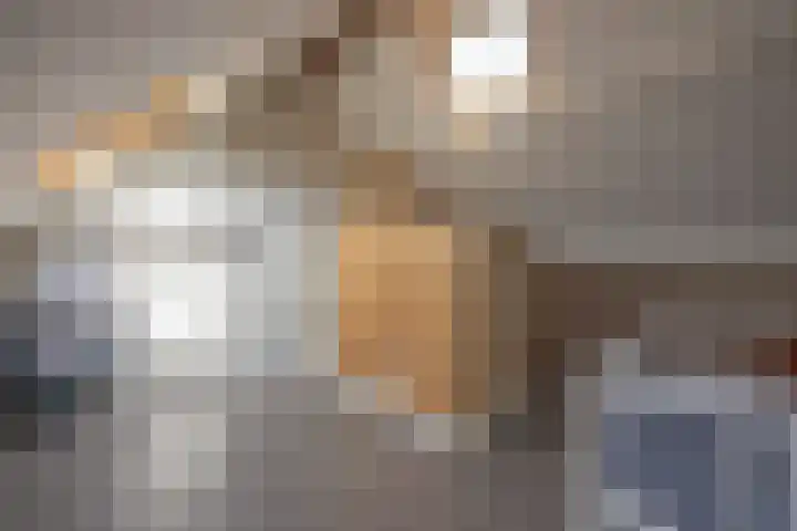 Hoenderstraat 6 Helvoirt thumbnail 30