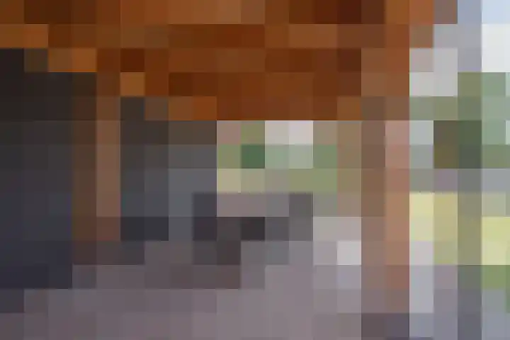 Hoenderstraat 6 Helvoirt thumbnail 32