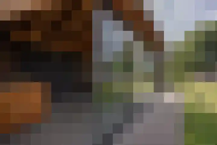 Hoenderstraat 6 Helvoirt thumbnail 33