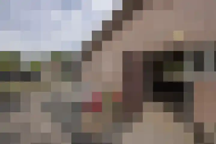 Hoenderstraat 6 Helvoirt thumbnail 36