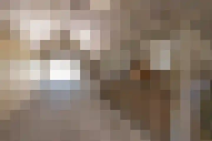 Hoenderstraat 6 Helvoirt thumbnail 37