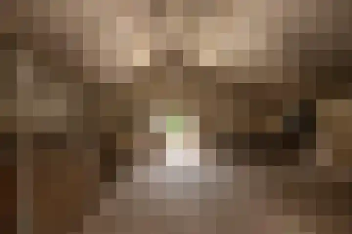 Hoenderstraat 6 Helvoirt thumbnail 39