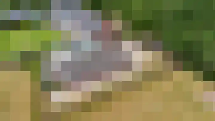 Hoenderstraat 6 Helvoirt thumbnail 4