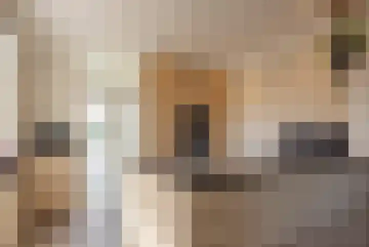 Hoenderstraat 6 Helvoirt thumbnail 7