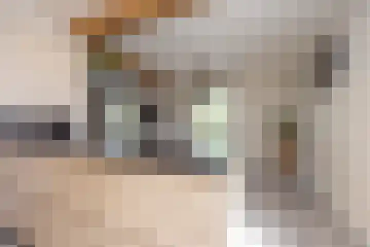 Hoenderstraat 6 Helvoirt thumbnail 8