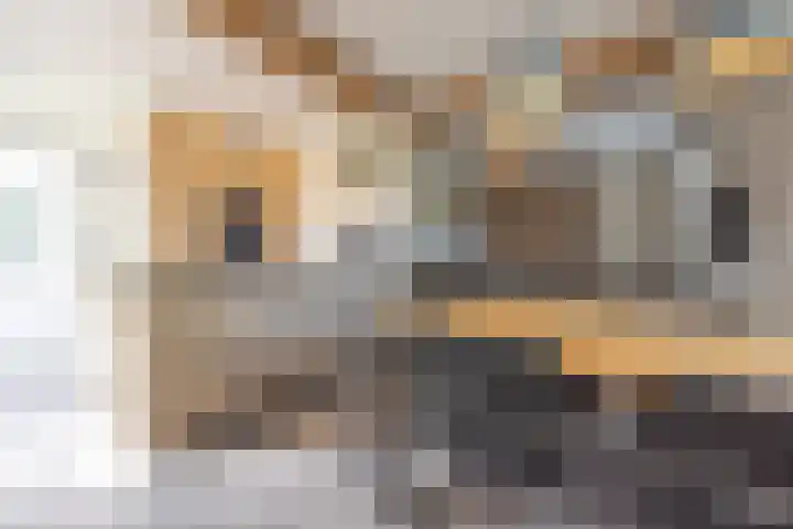 Hoenderstraat 6 Helvoirt thumbnail 9