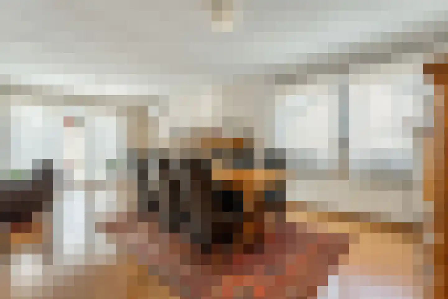 Hoenderstraat 9 1 Arriën thumbnail 17