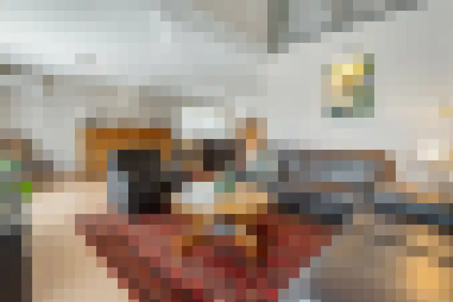 Hoenderstraat 9 1 Arriën thumbnail 19