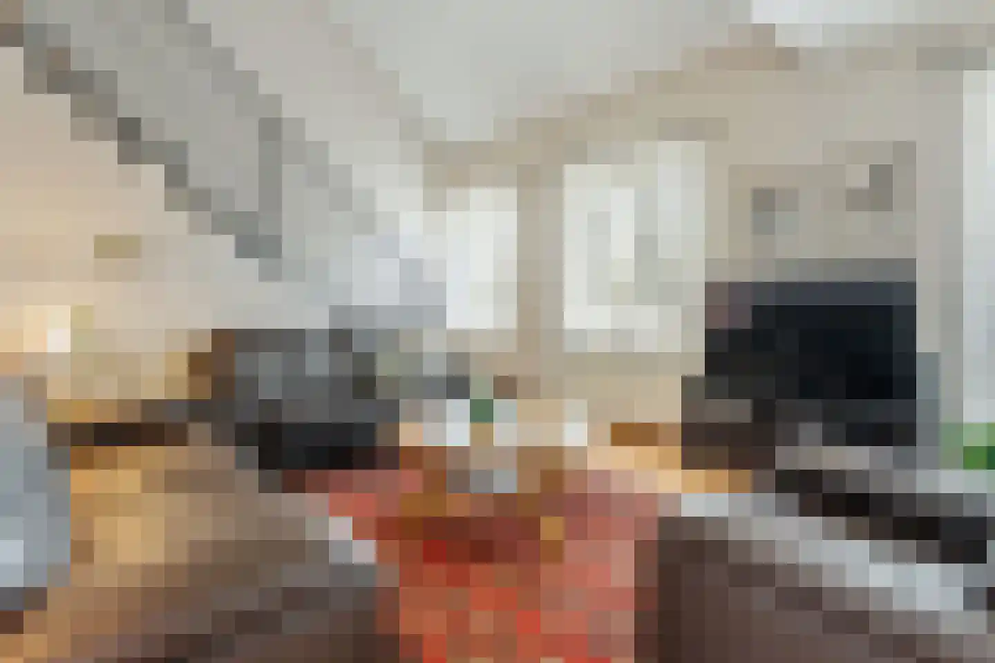 Hoenderstraat 9 1 Arriën thumbnail 20