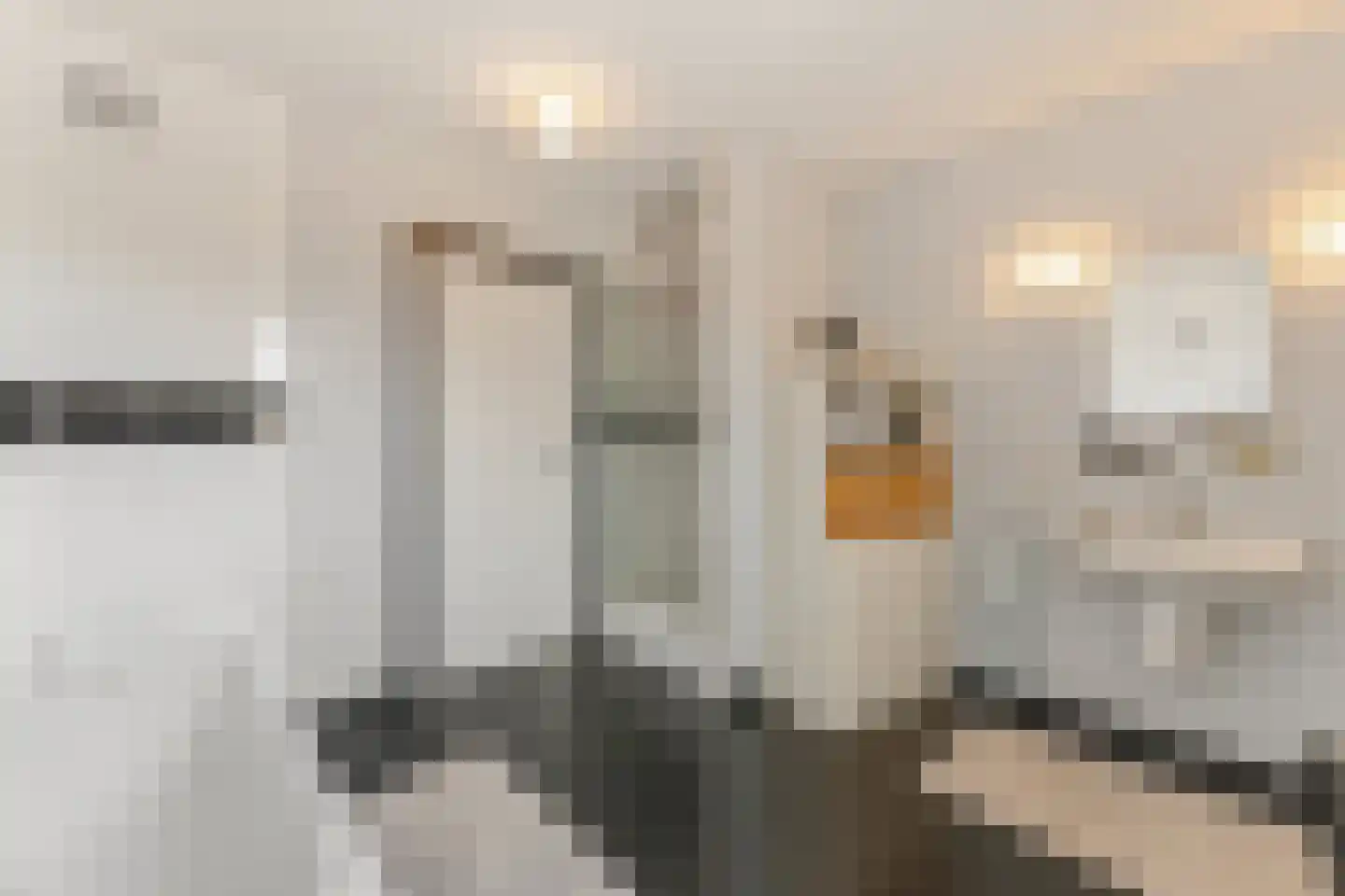 Hoenderstraat 9 1 Arriën thumbnail 22