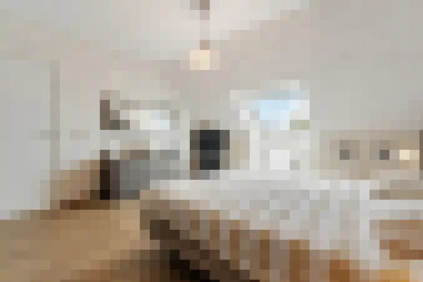 Hoenderstraat 9 1 Arriën thumbnail 27