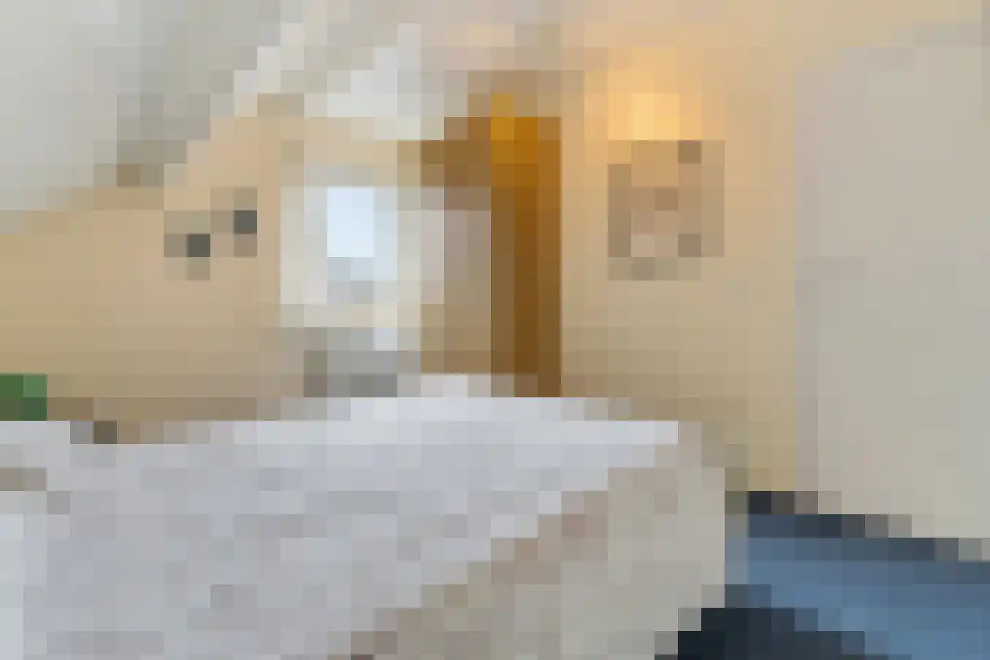 Hoenderstraat 9 1 Arriën thumbnail 28