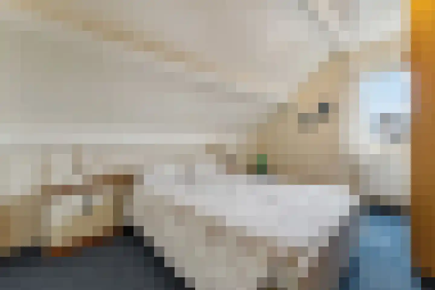 Hoenderstraat 9 1 Arriën thumbnail 29