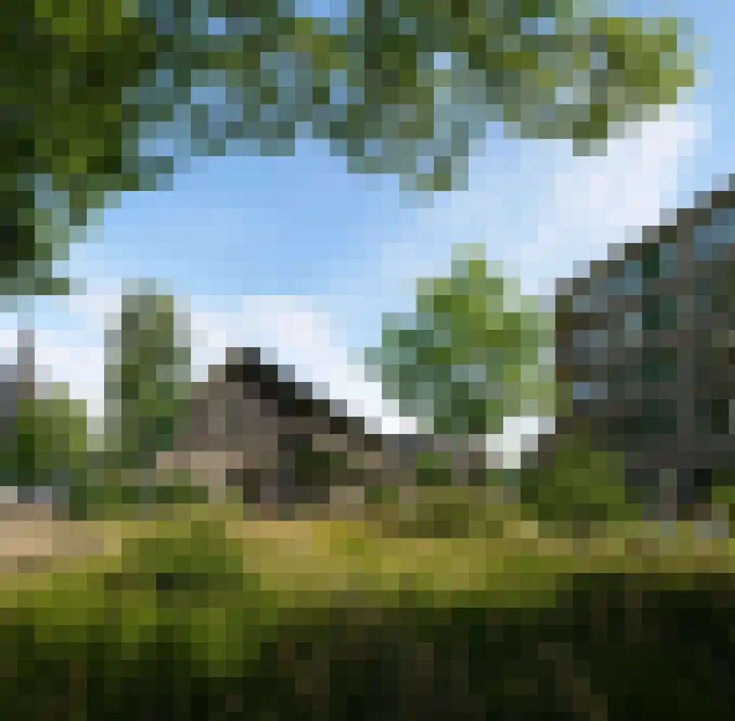 Hoendersveld Venray foto 2