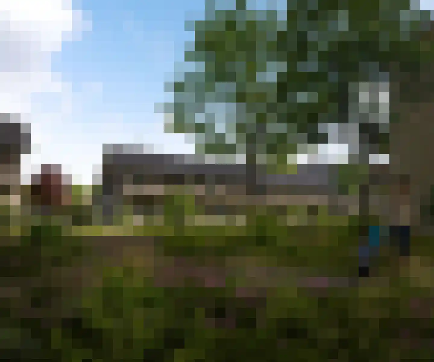 Hoendersveld Venray foto 3