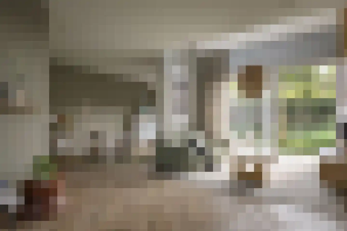 Hoendersveld Venray thumbnail 5