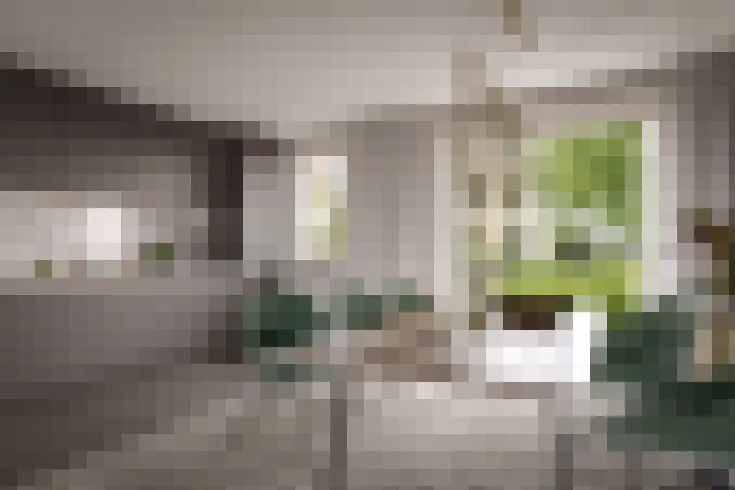 Hoendersveld Venray thumbnail 6