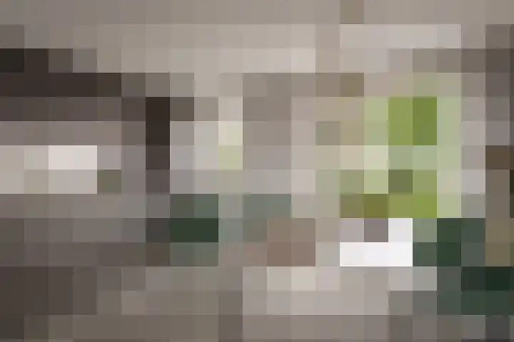 Hoendersveld Venray thumbnail 6