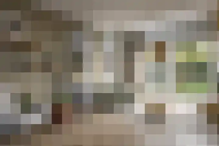 Hoendersveld Venray thumbnail 7