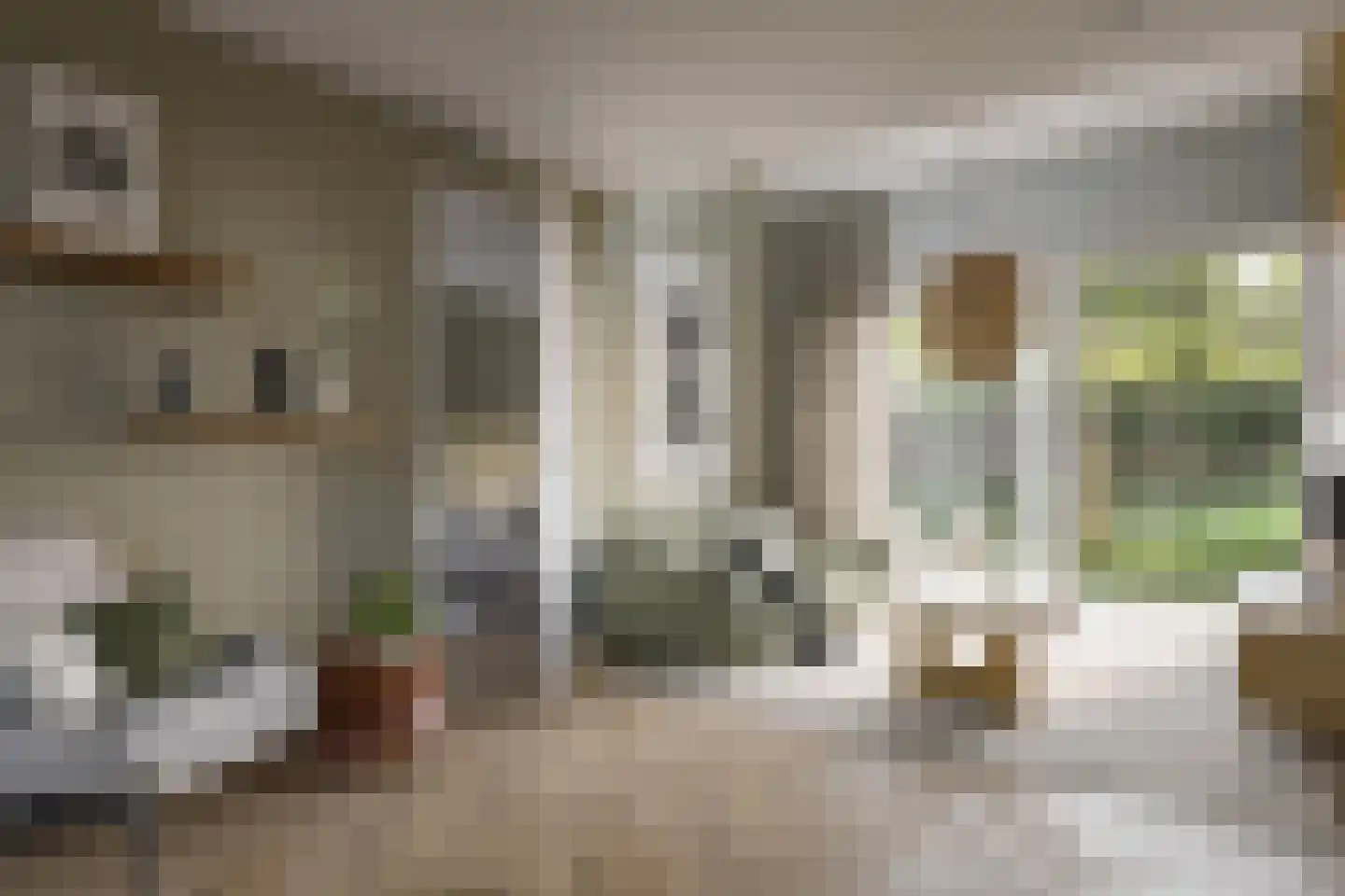 Hoendersveld Venray thumbnail 7