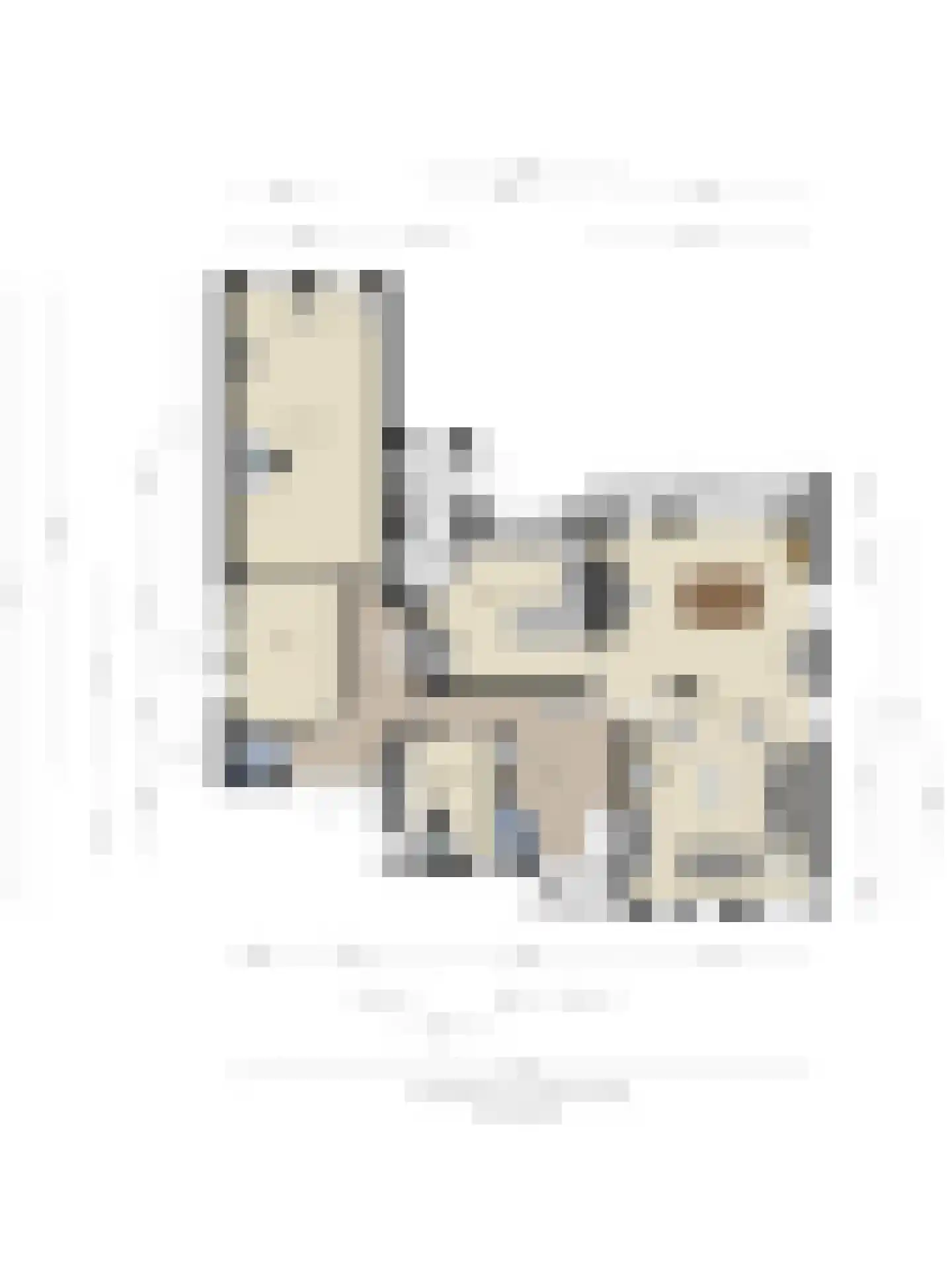 Hoenderveld 12 Bruchem thumbnail 52