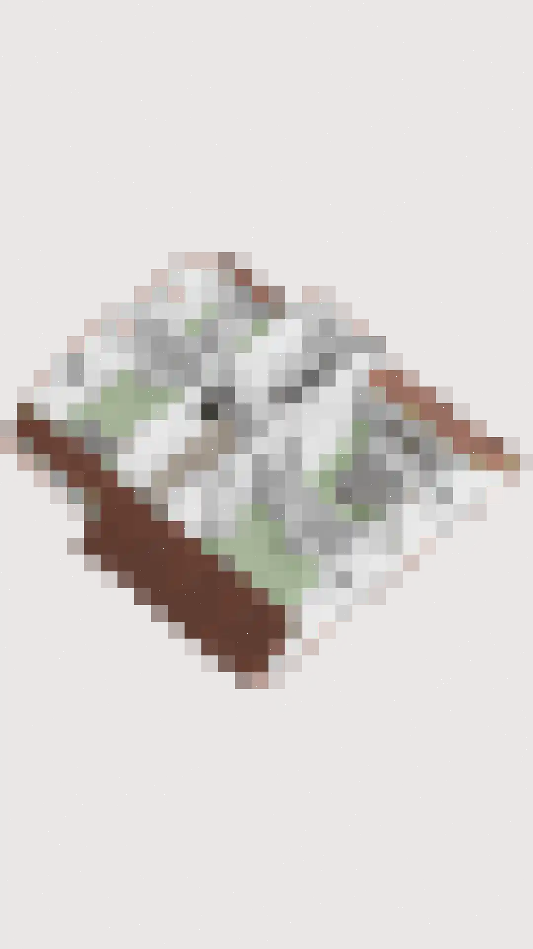 Hoenderveld 12 Bruchem thumbnail 60