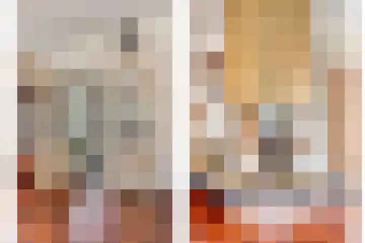 Hoendervogellaan 15 Heinkenszand thumbnail 10