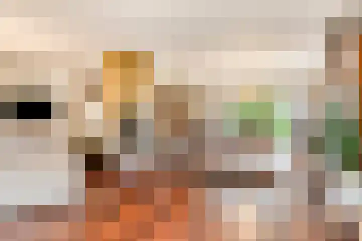 Hoendervogellaan 15 Heinkenszand thumbnail 12