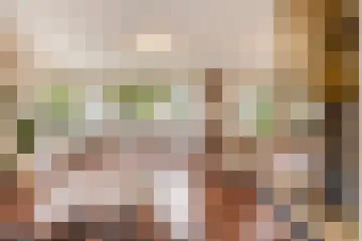 Hoendervogellaan 15 Heinkenszand thumbnail 15