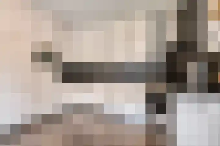 Hoendervogellaan 15 Heinkenszand thumbnail 18