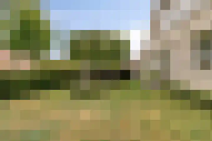 Hoendervogellaan 15 Heinkenszand foto 2