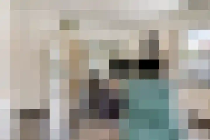 Hoendervogellaan 15 Heinkenszand thumbnail 21