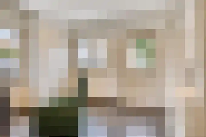 Hoendervogellaan 15 Heinkenszand thumbnail 22