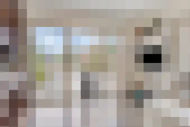 Hoendervogellaan 15 Heinkenszand thumbnail 23