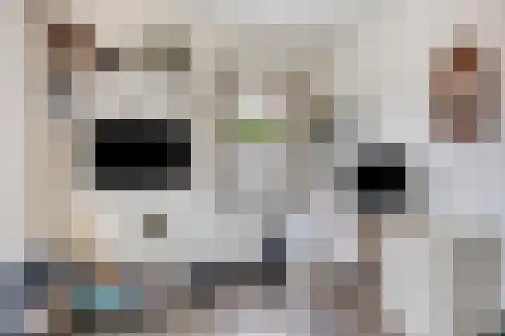 Hoendervogellaan 15 Heinkenszand thumbnail 24