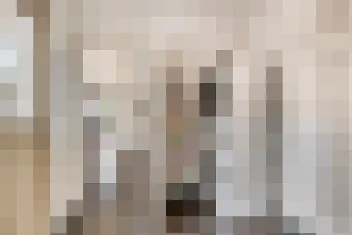 Hoendervogellaan 15 Heinkenszand thumbnail 25
