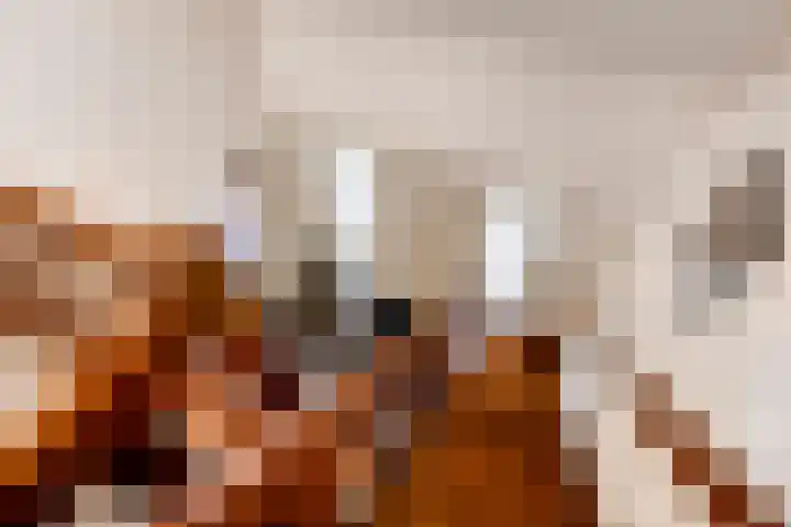 Hoendervogellaan 15 Heinkenszand thumbnail 28