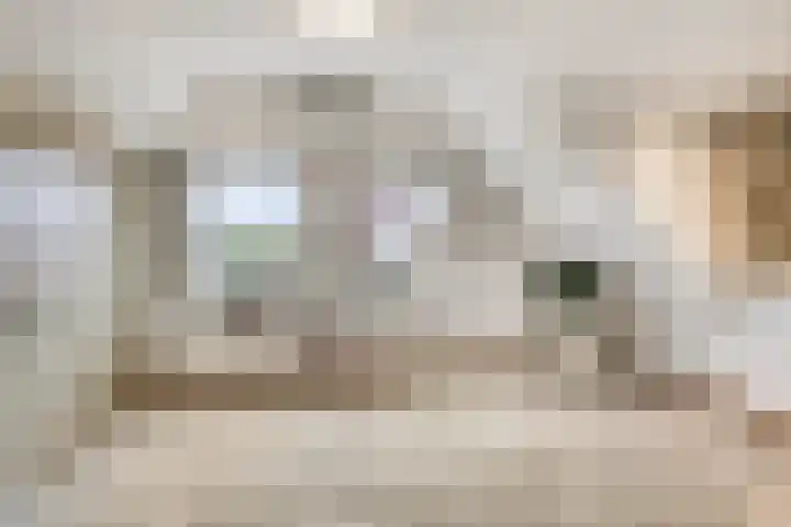 Hoendervogellaan 15 Heinkenszand thumbnail 29