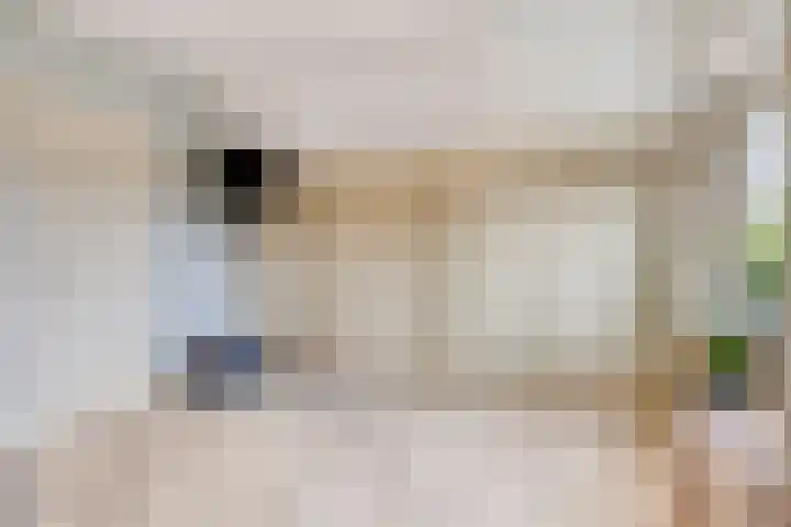 Hoendervogellaan 15 Heinkenszand thumbnail 30