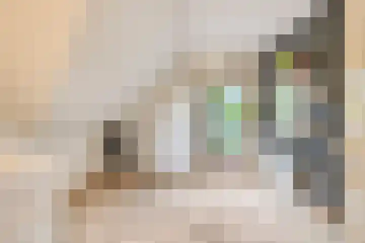 Hoendervogellaan 15 Heinkenszand thumbnail 31