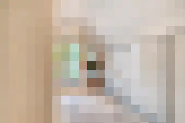 Hoendervogellaan 15 Heinkenszand thumbnail 33