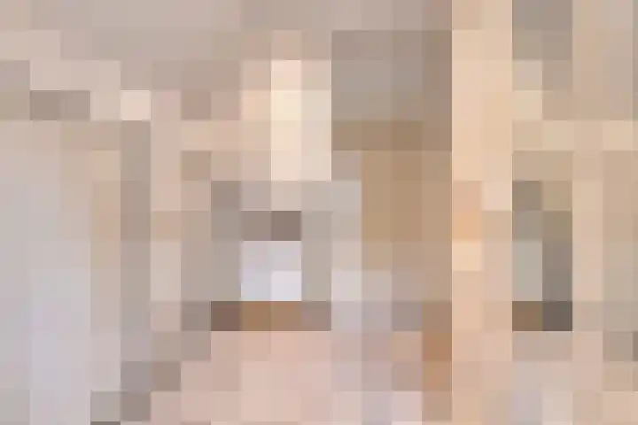 Hoendervogellaan 15 Heinkenszand thumbnail 34