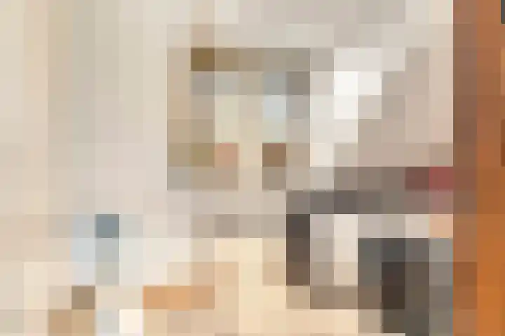 Hoendervogellaan 15 Heinkenszand thumbnail 35