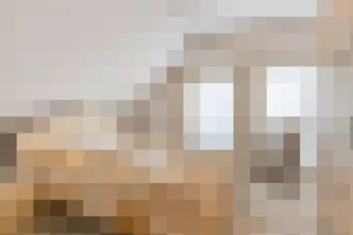 Hoendervogellaan 15 Heinkenszand thumbnail 36