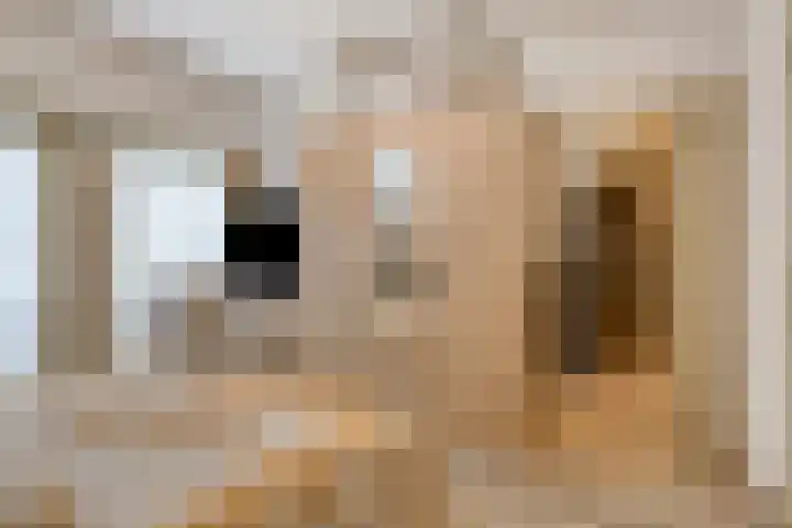 Hoendervogellaan 15 Heinkenszand thumbnail 37