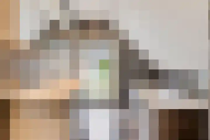 Hoendervogellaan 15 Heinkenszand thumbnail 39