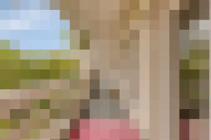 Hoendervogellaan 15 Heinkenszand thumbnail 42