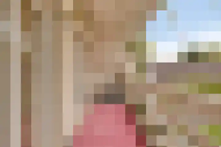 Hoendervogellaan 15 Heinkenszand thumbnail 43